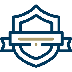 shield icon